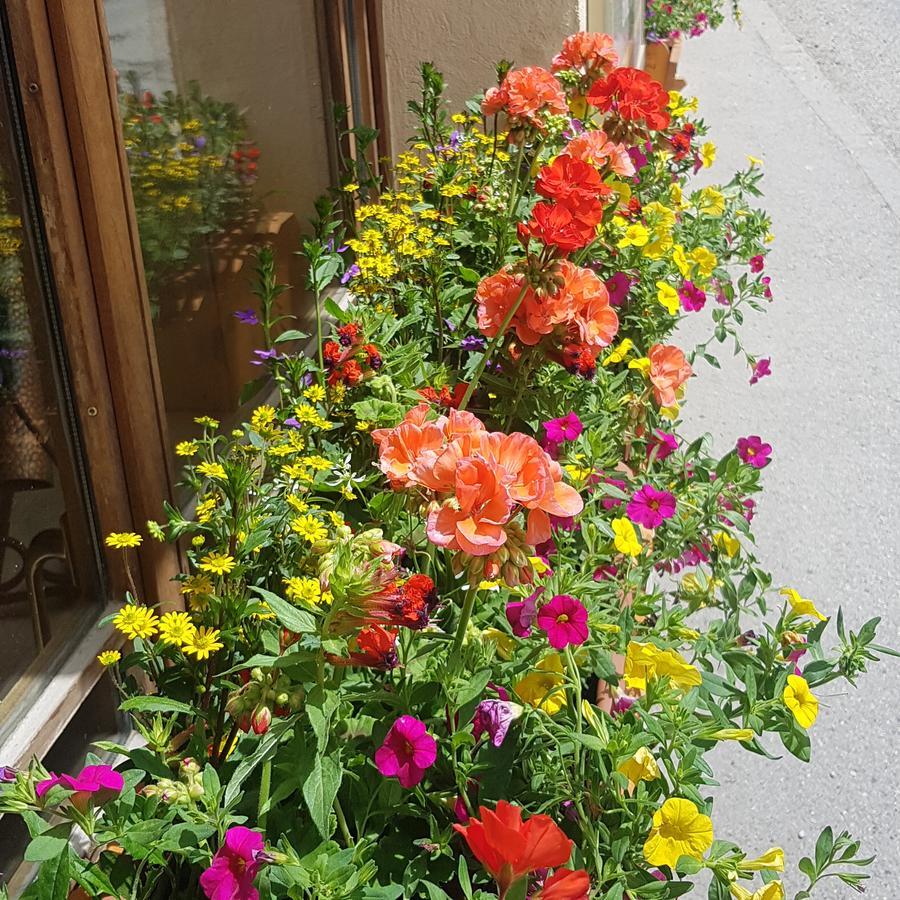 Hotel-Chalet Les Melezes Valloire Εξωτερικό φωτογραφία
