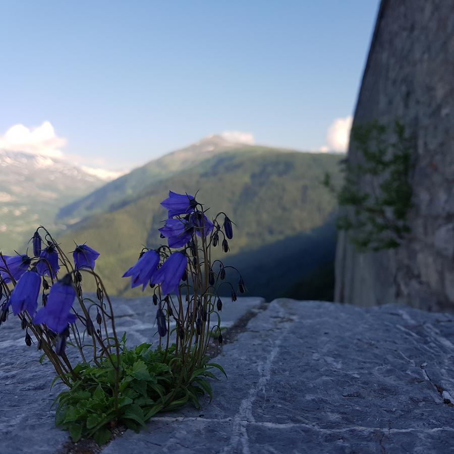 Hotel-Chalet Les Melezes Valloire Εξωτερικό φωτογραφία